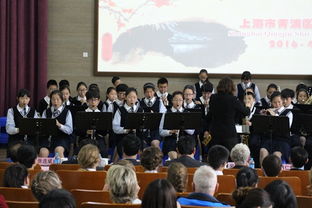 新西兰霍克斯湾管弦乐团与实验中学携手共促文化艺术交流